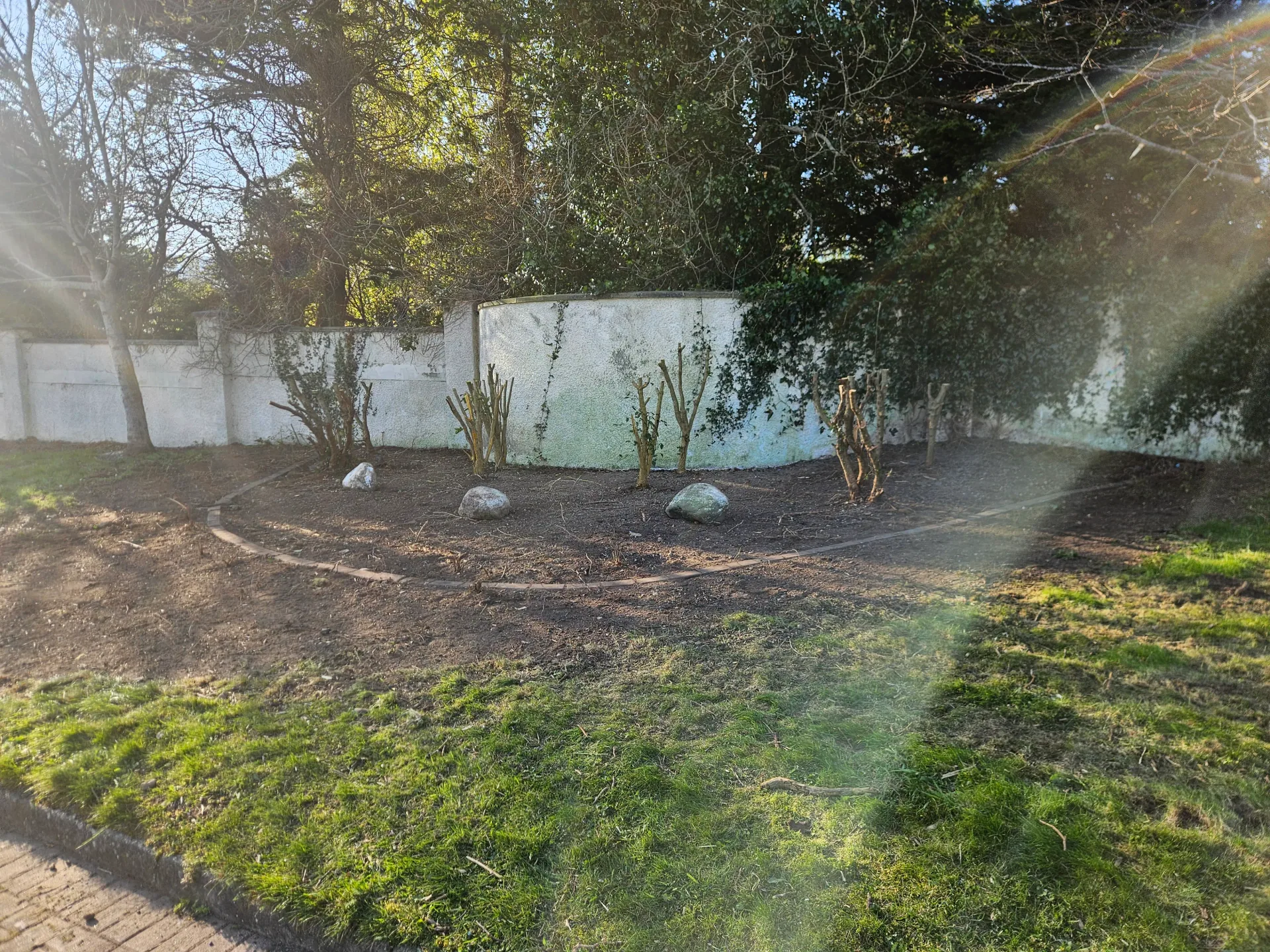A lawn we cut and tidy in Omeath, Co. Louth.