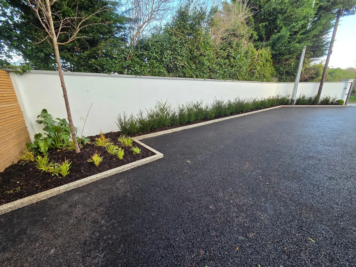 Hero image for Best Hedges for Wildlife in Ireland: Create Thriving Natural Habitats