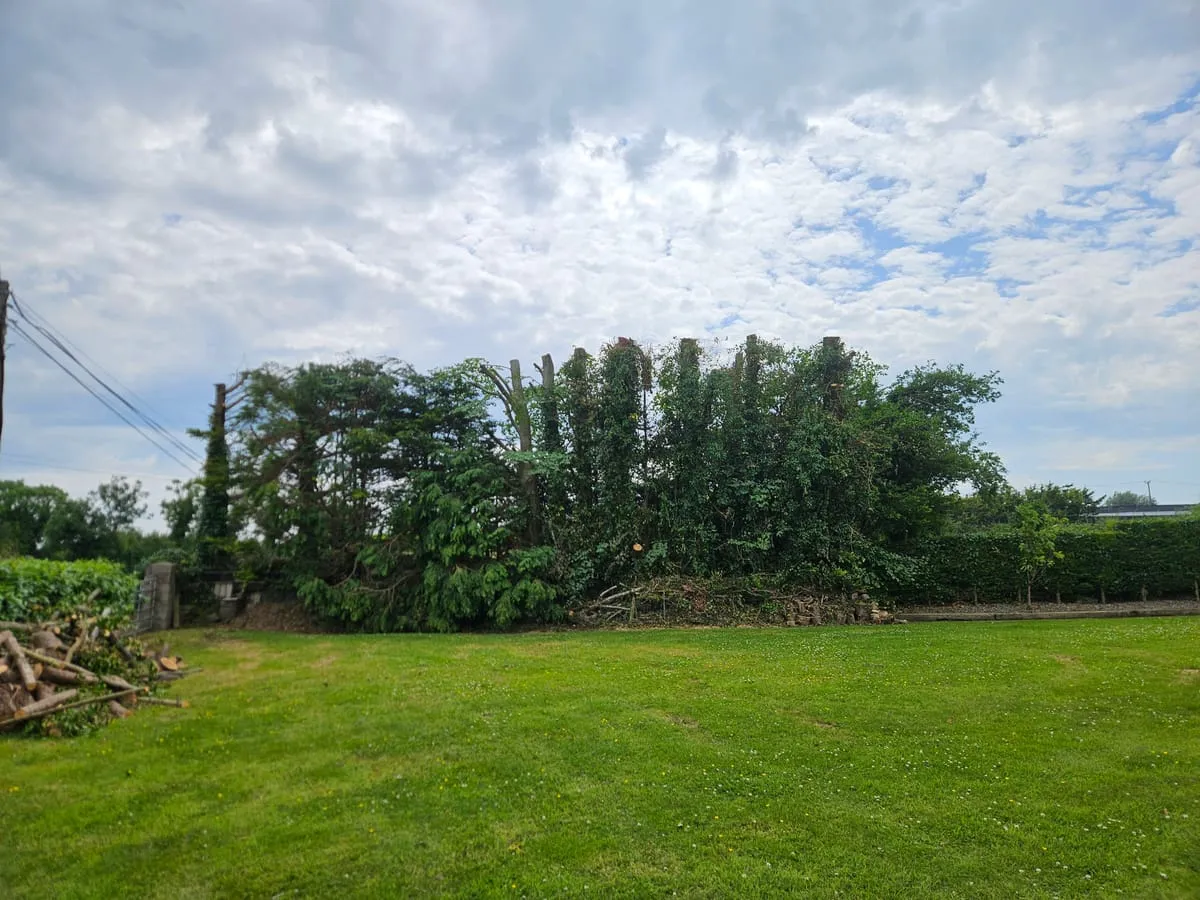 A garden with mature trees we keep maintained in Louth Village.