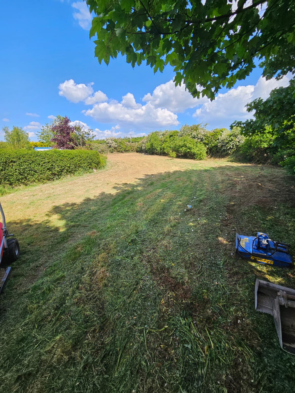 Beautifully maintained lawn after professional service