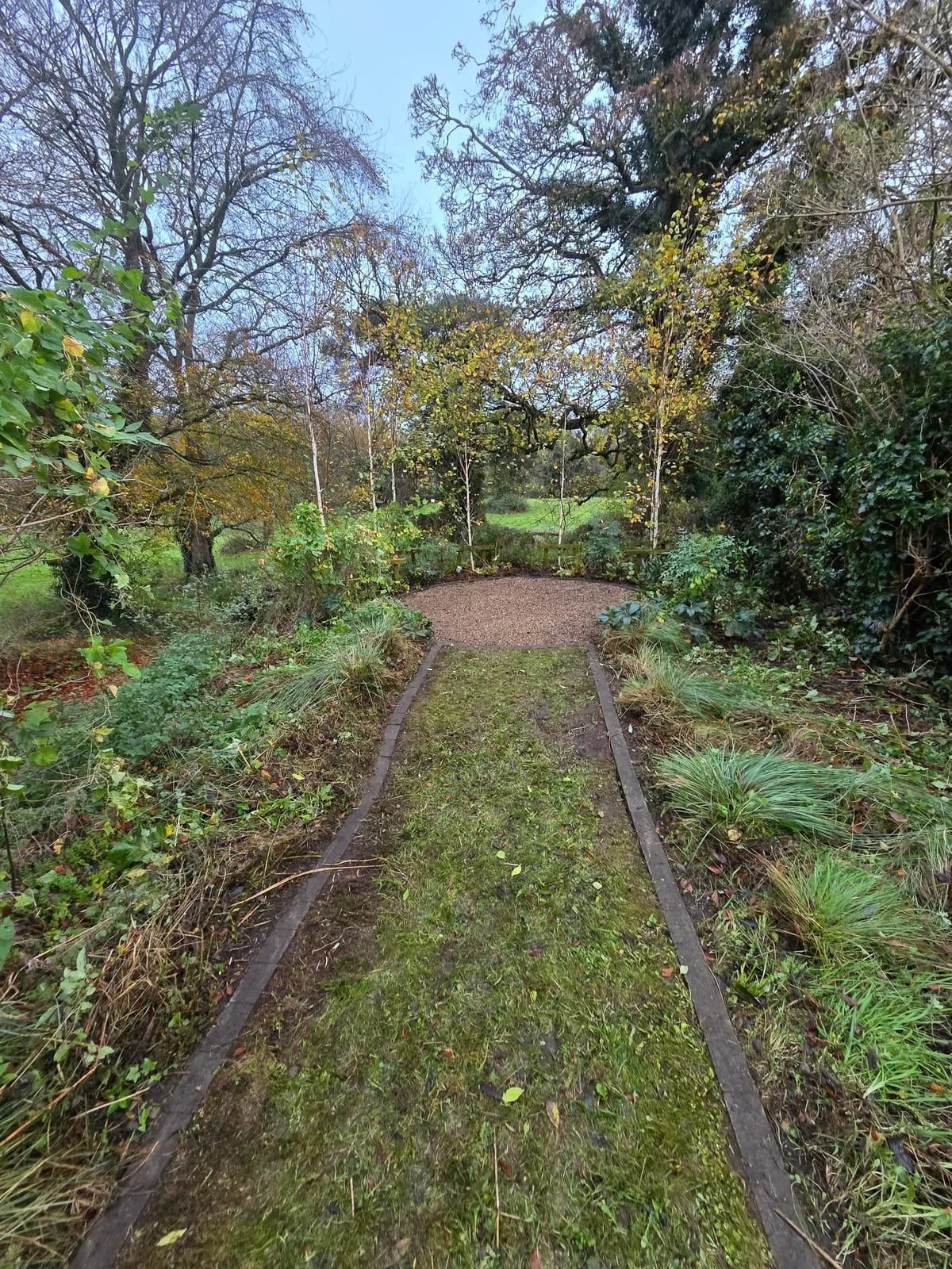 Hero image for Low-Maintenance Garden Design for Busy Irish Homeowners