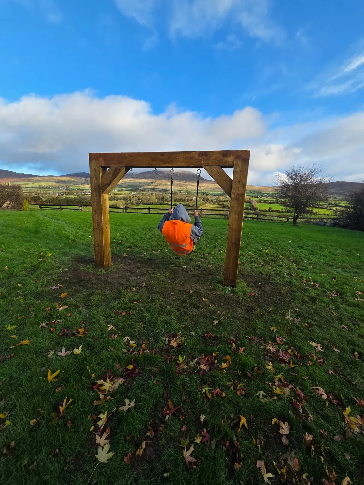 Hero image for Chemical-Free Weed Control for Irish Gardens