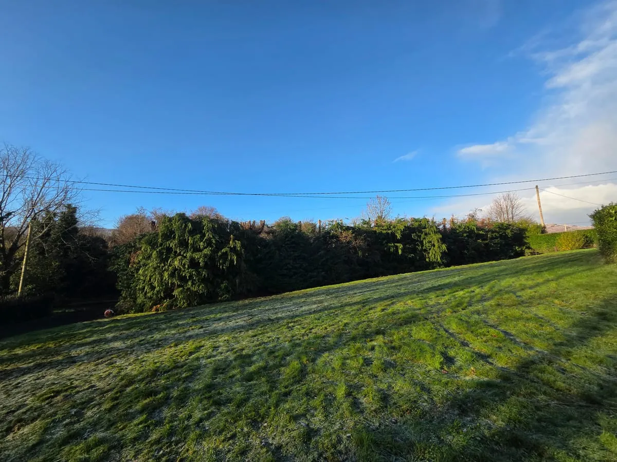 Hero image for Storm Damage Garden Recovery: Restoration After Irish Weather
