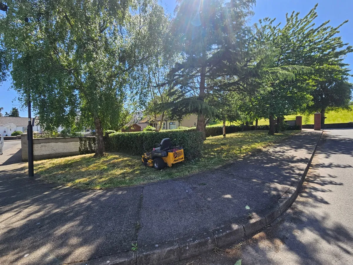 Hero image for When to Start Mowing Your Lawn in Dundalk: Expert Timing Guide