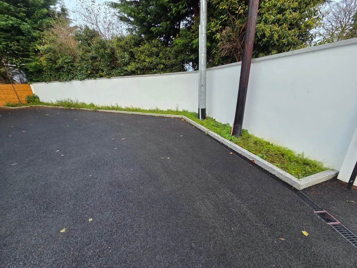 A freshly planted yew hedge, set to thicken into a dense screen.
